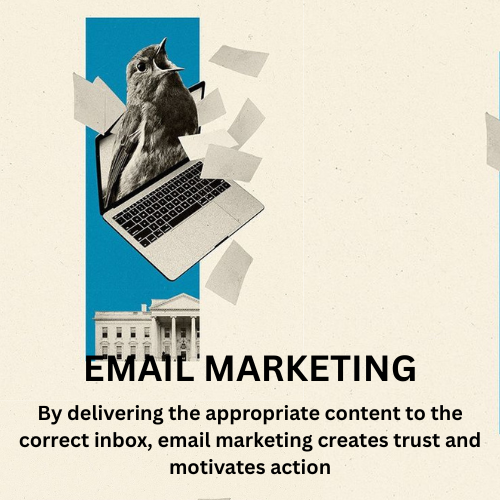 digital marketing consultant in malappuram
